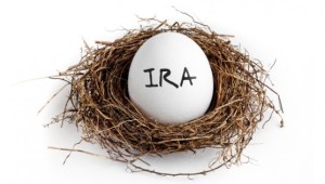 IRA-nest-egg-retirement-557x317-300x170