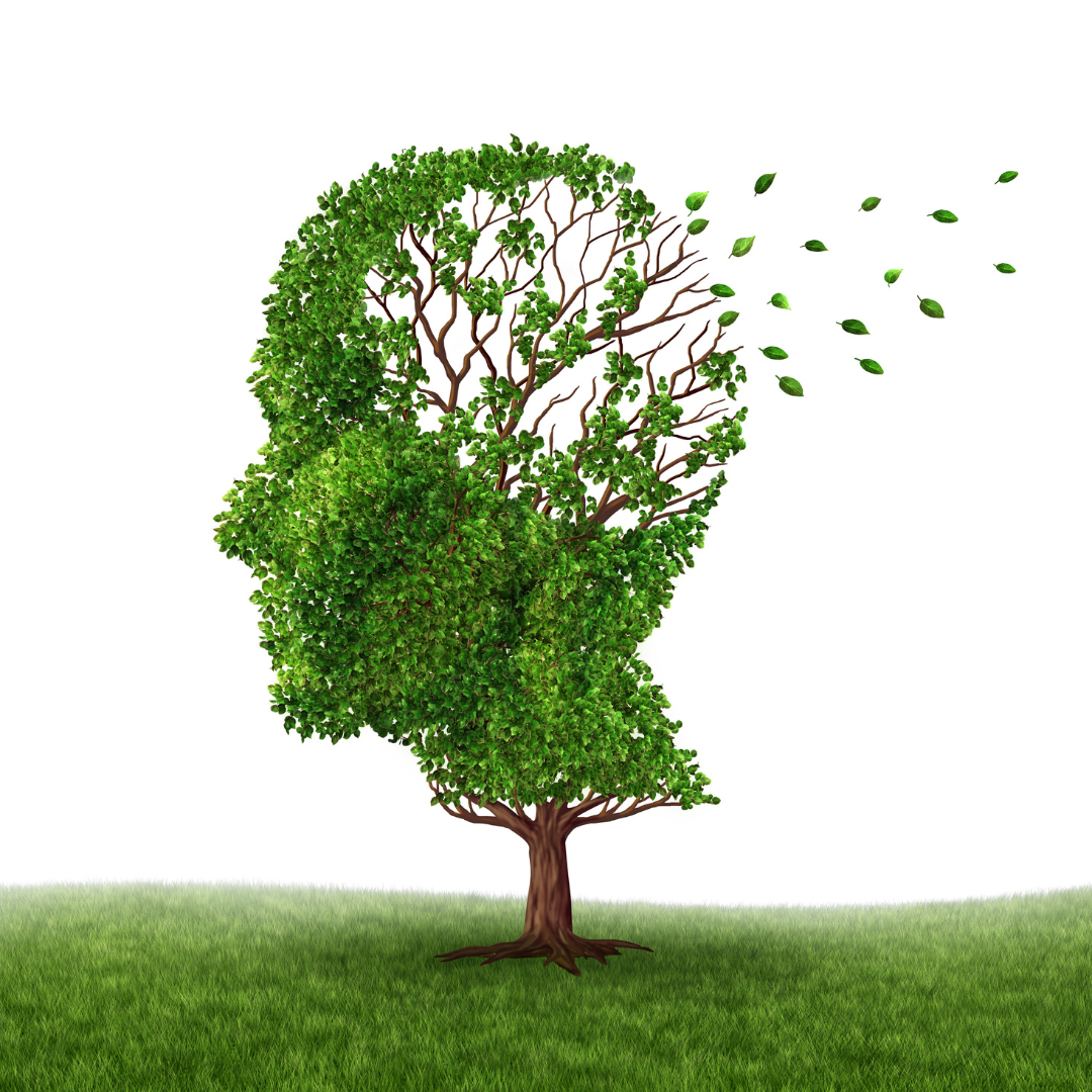 Healthy lifestyle habits including diet, exercise, and social engagement that reduce dementia risk in older adults